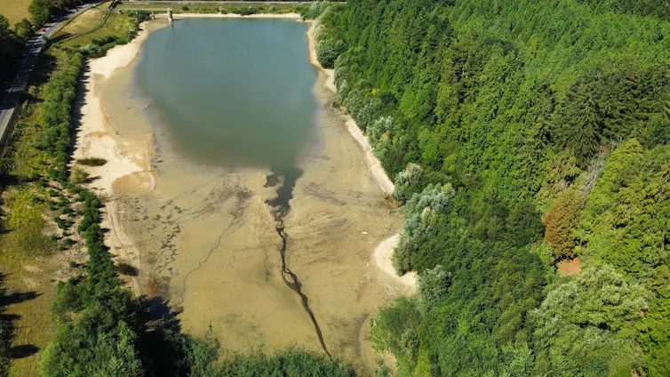 dry reservoir with low water level surrounded by trees, aerial shot