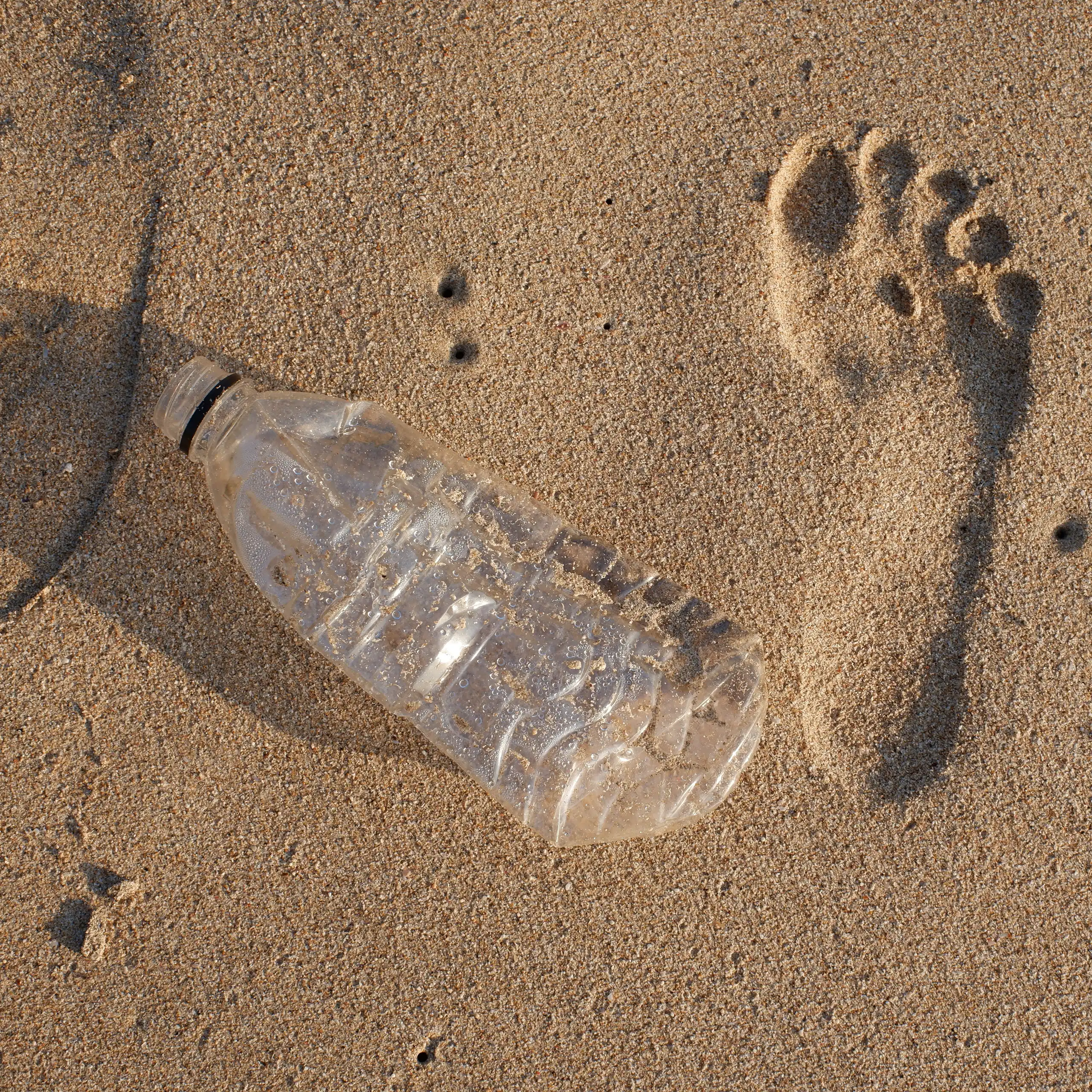 Une empreinte de pas sur le sable de la plage posée à côté d’une bouteille en plastique, vide et chiffonnée.
