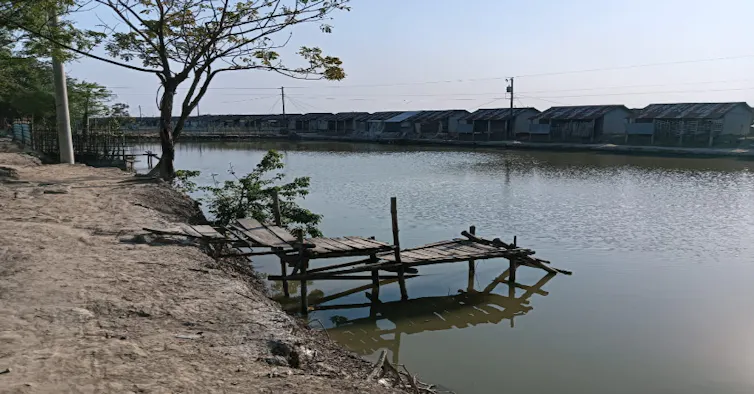 Homes beside lagoon