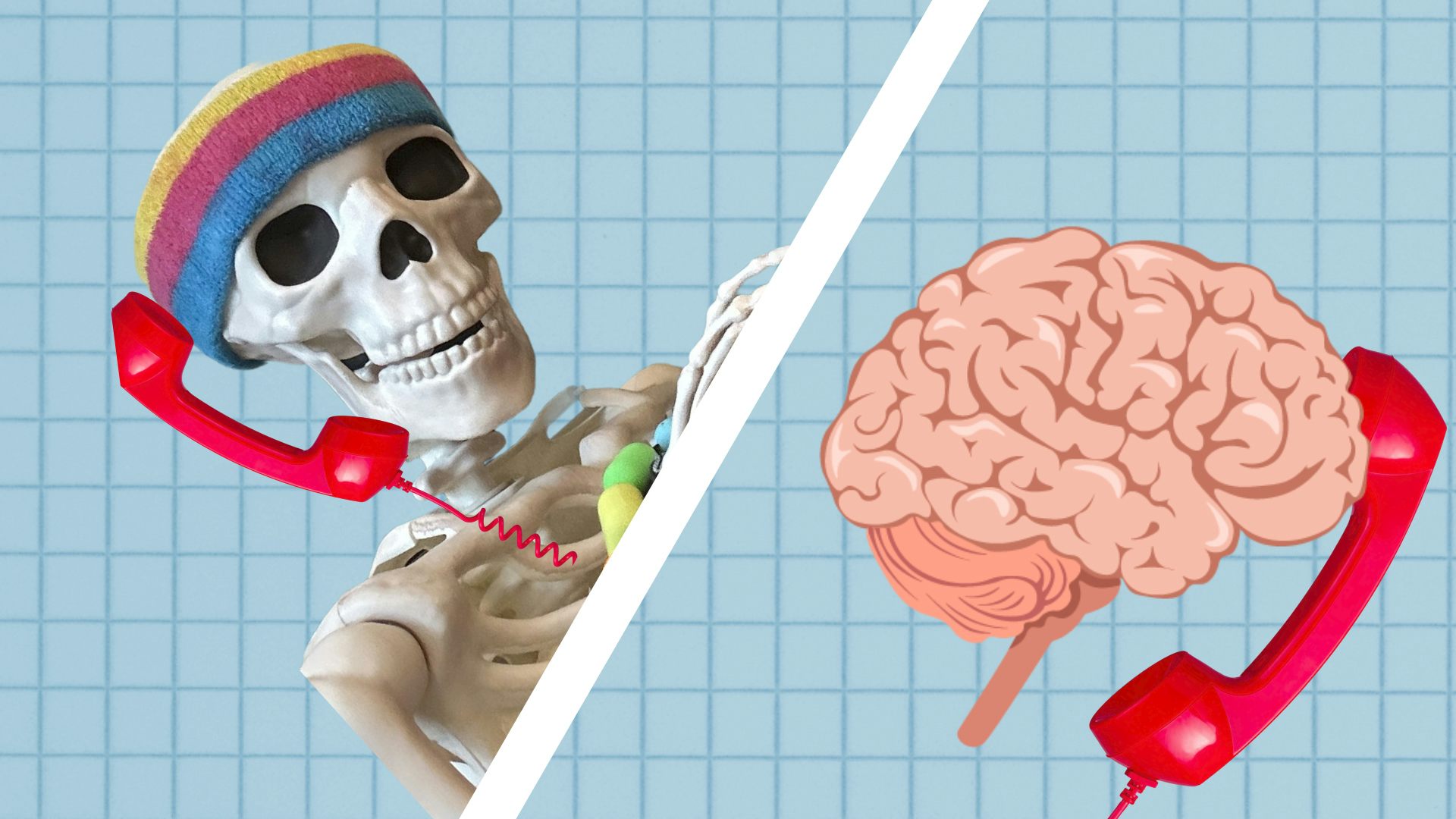 a skeleton is holding a red phone, while "chatting" with a brain 