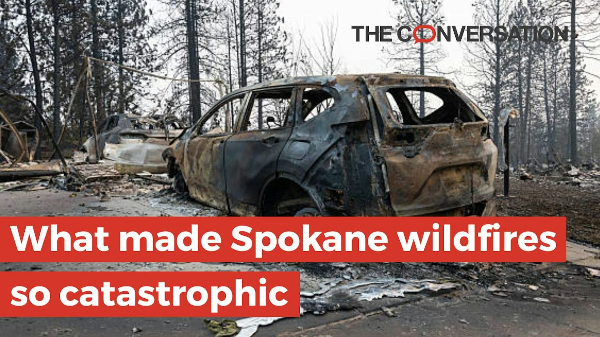 burnt out car sits amid trees ravaged by wildfire