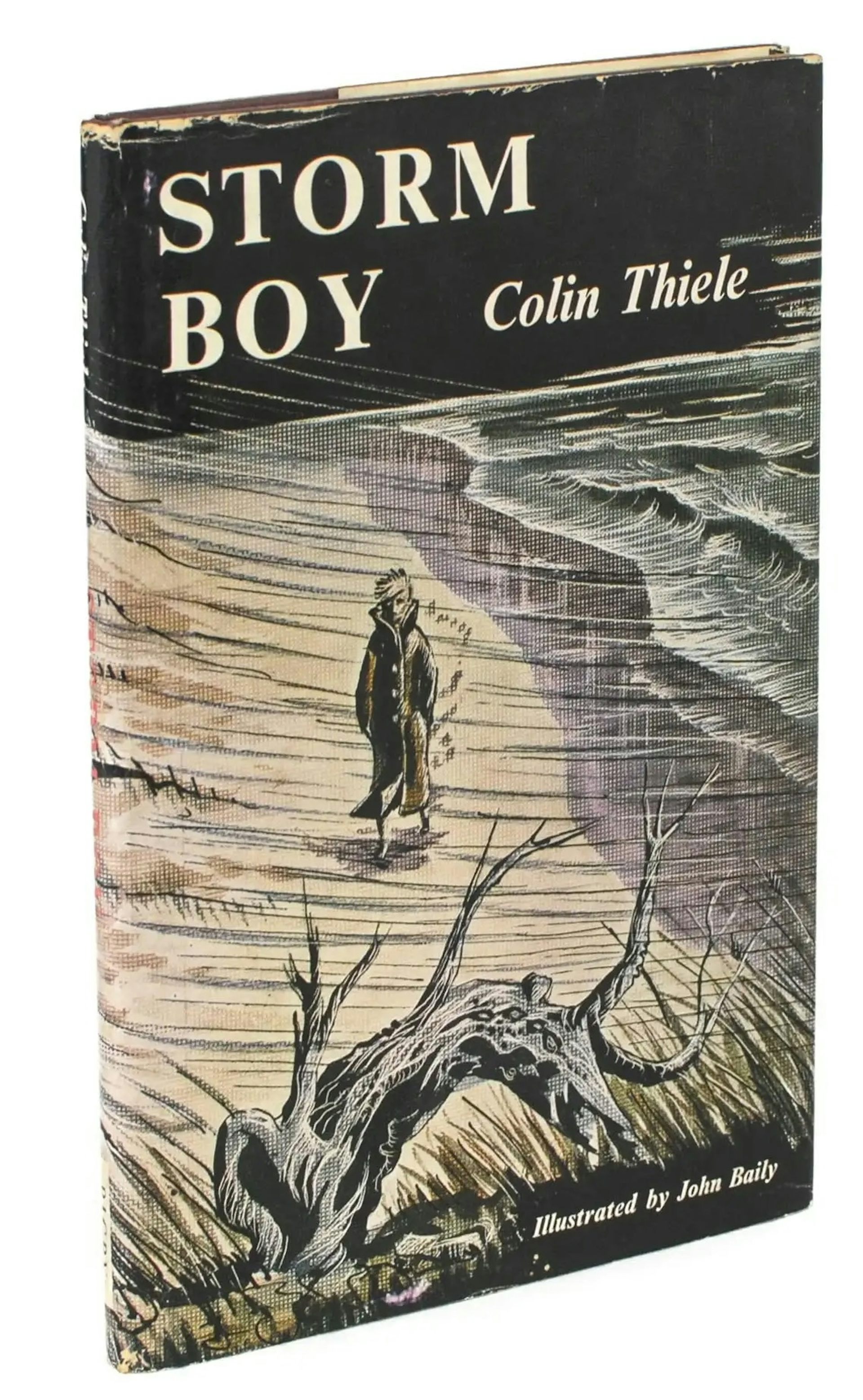 book cover: Storm Boy, illustrated by John Baily