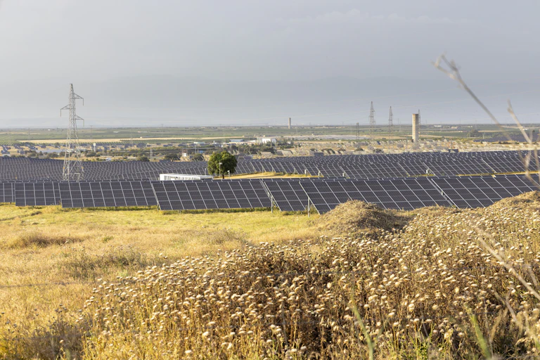 Placas solares en un paisaje con pasto seco, casas y algunos postes eléctricos