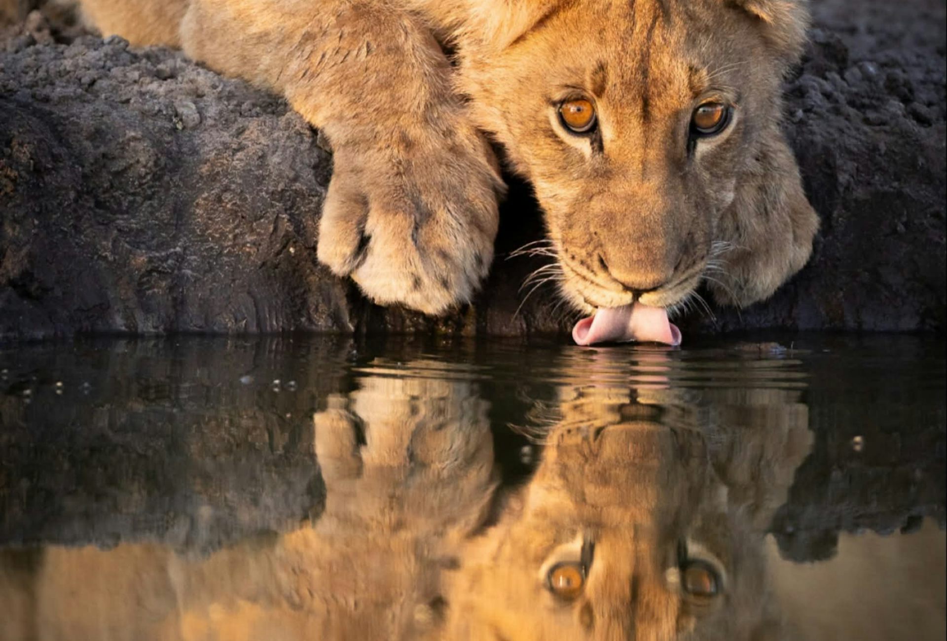 Are zoos ready for the changing climate?