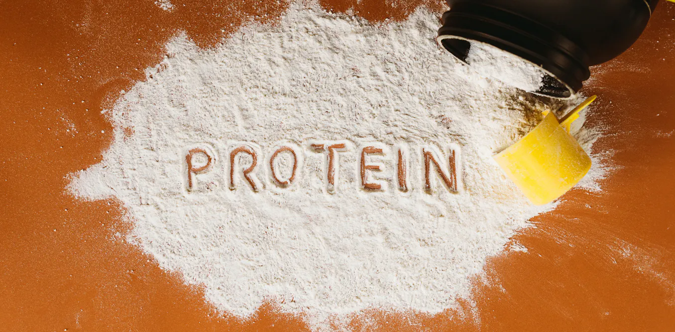 More protein in your breakfast or snacks won’t give you more muscle without more work – a biologist separates the science from the marketing More protein in your breakfast or snacks won’t give you more muscle without more work – a biologist separates the science from the marketing