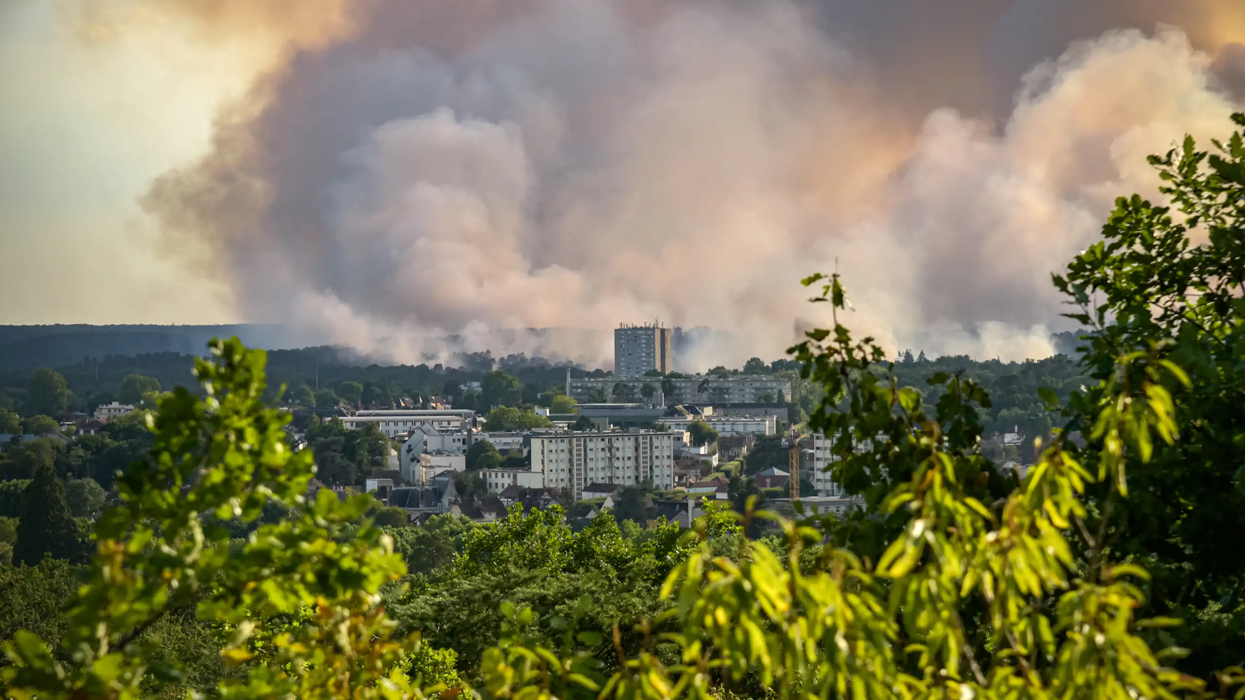13 juillet 2026 : vue panoramique de l'incendie de la forêt de Fontainebleau.