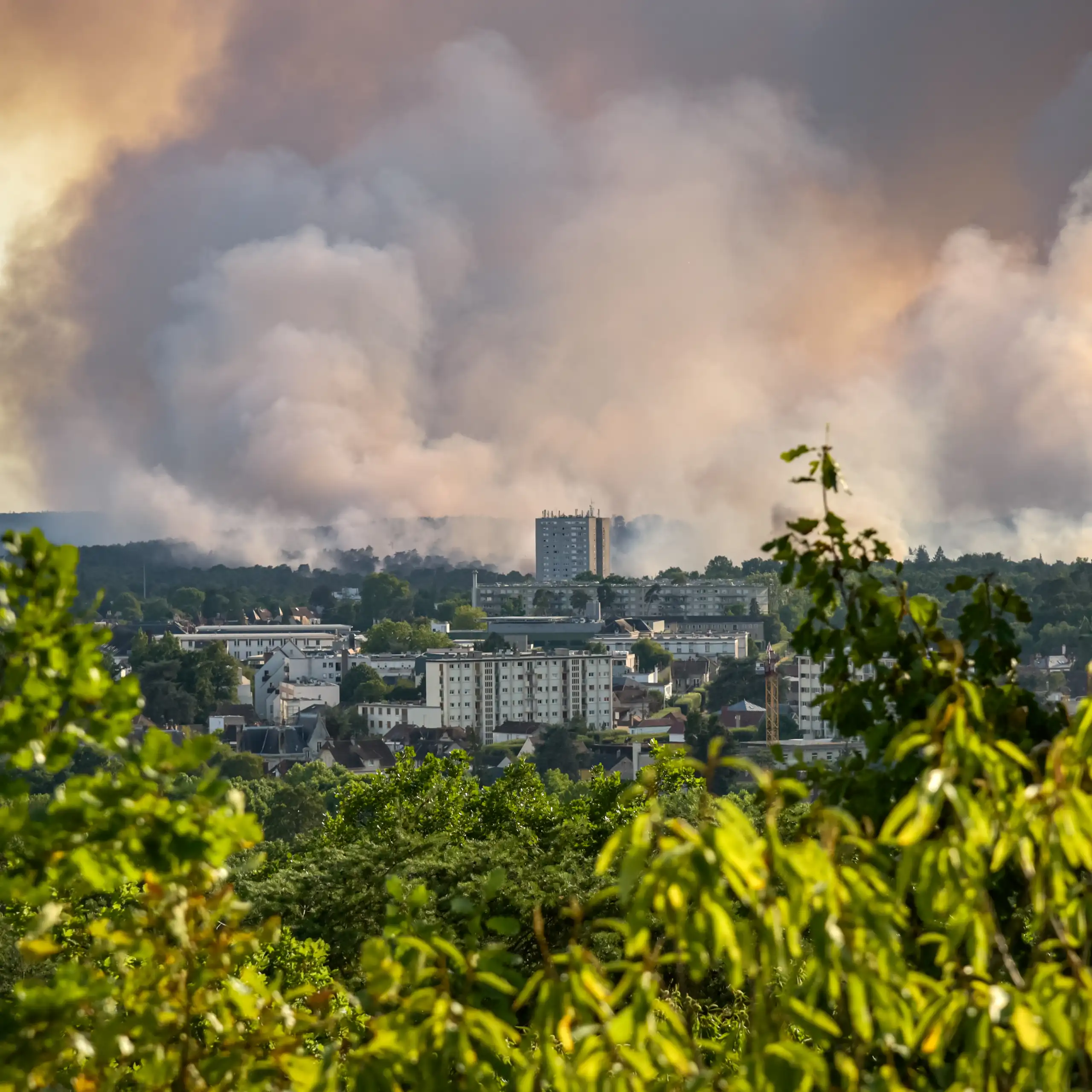 13 juillet 2026 : vue panoramique de l'incendie de la forêt de Fontainebleau.