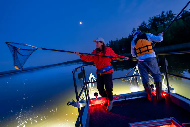 two people on a boat on a lake. One holding a fishing net