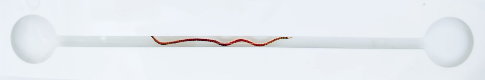 A diagram showing a narrow channel with a filament moving through it