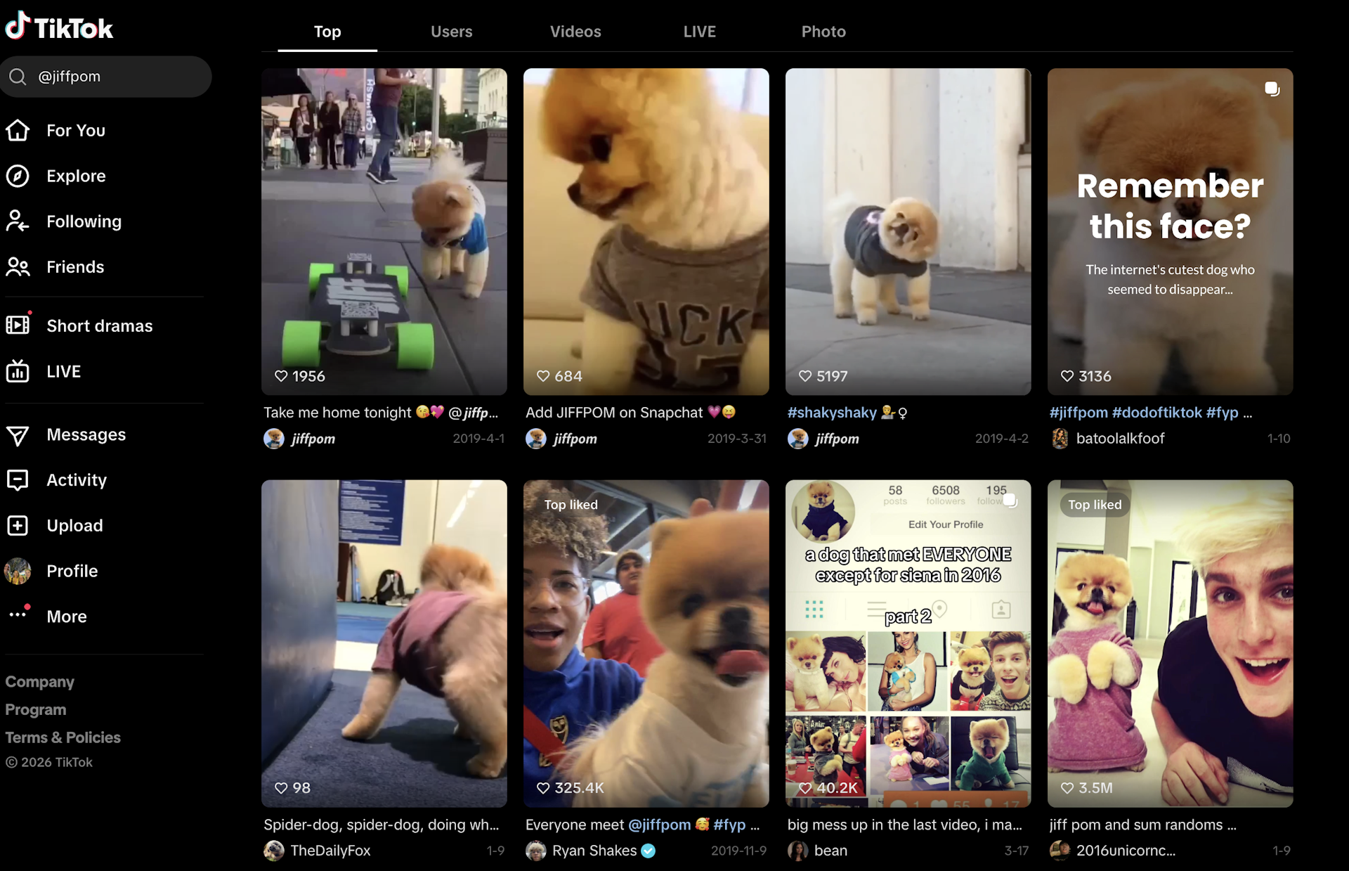 A screenshot of TikTok posts featuring a small fluffy white dog.