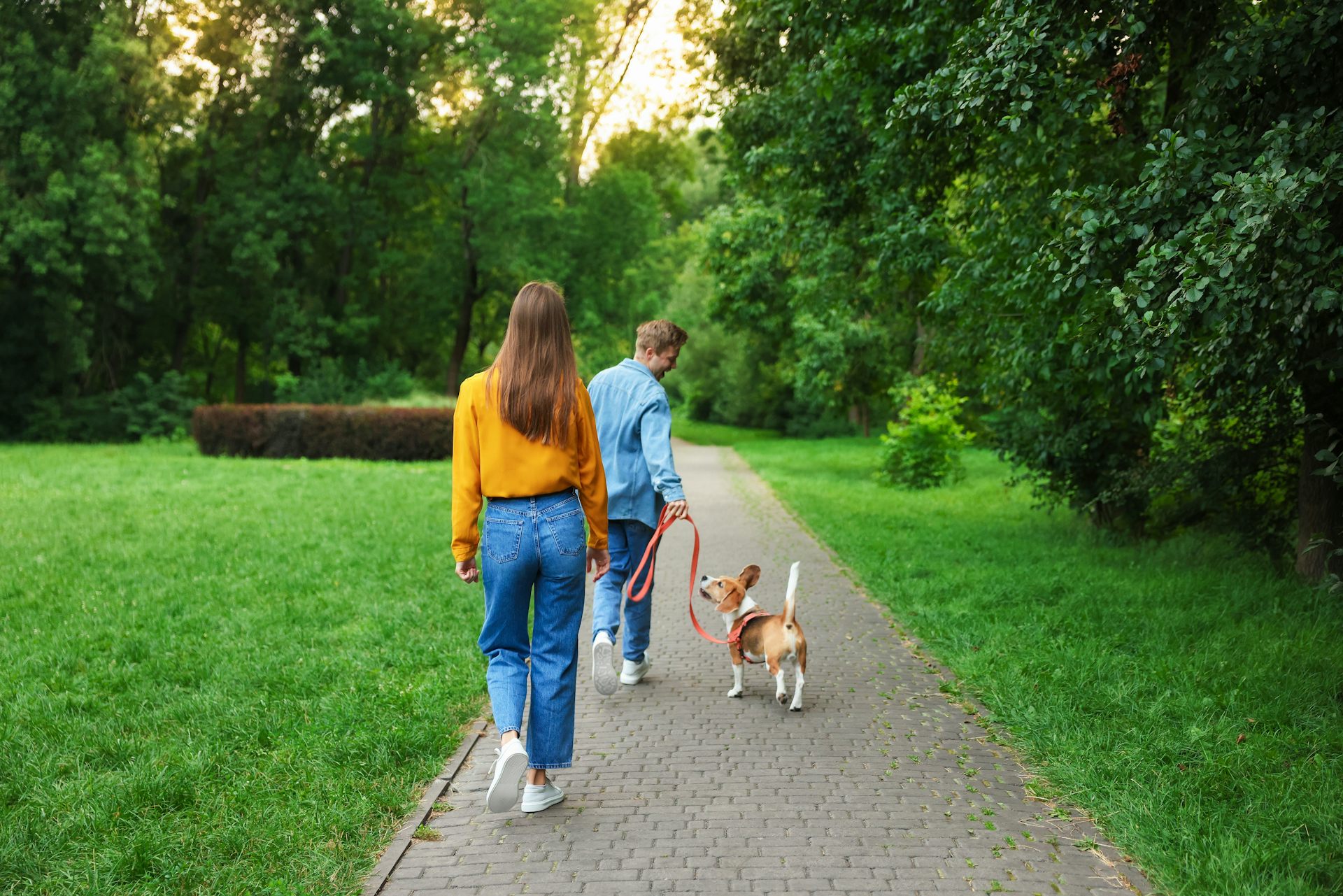 The physical activity paradox: not all forms of exercise lower your dementia risk – this type raises it