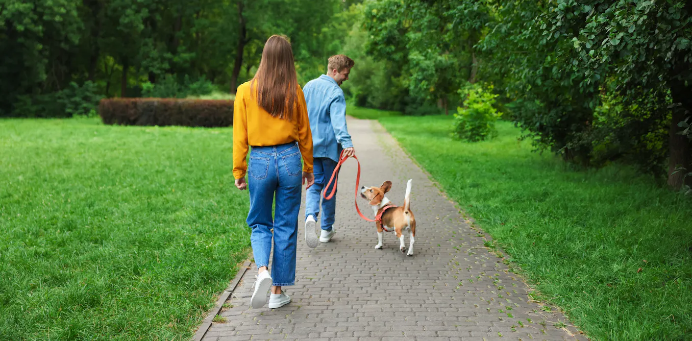The physical activity paradox: not all forms of exercise lower your dementia risk – this type raises it The physical activity paradox: not all forms of exercise lower your dementia risk – this type raises it