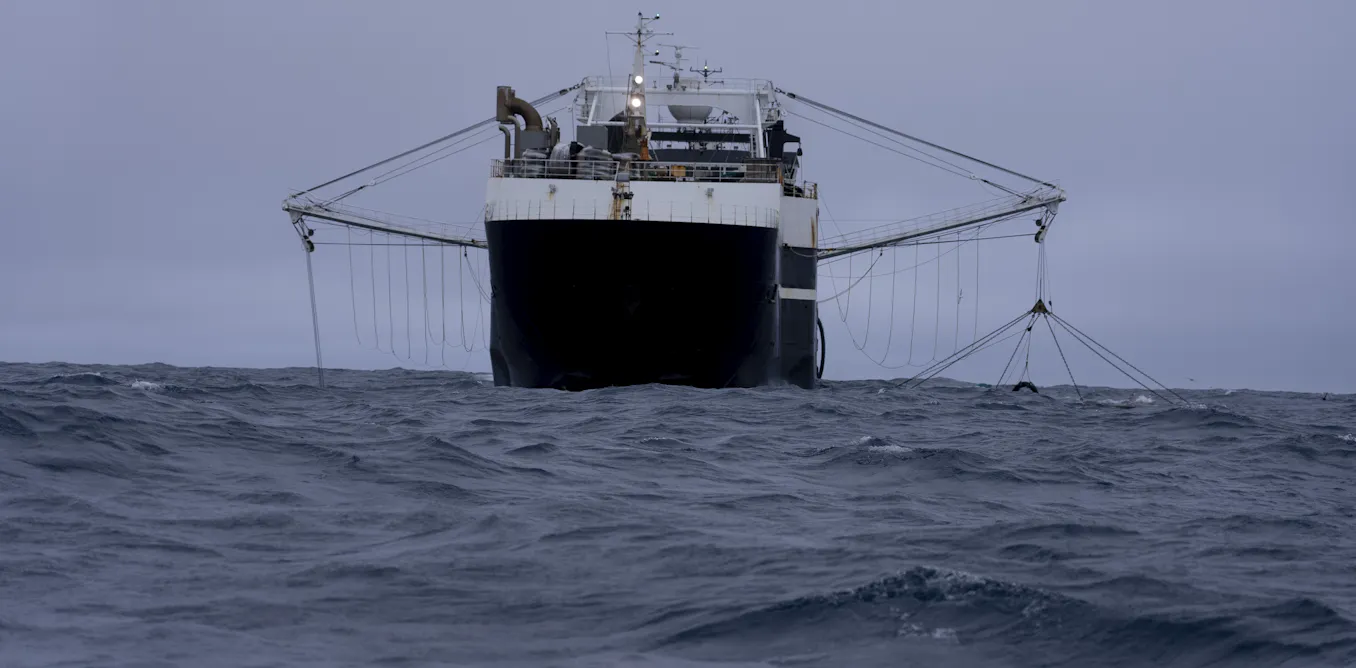 Antarctic krill fishing is now concentrated in the exact pattern conservation rules were designed to prevent Antarctic krill fishing is now concentrated in the exact pattern conservation rules were designed to prevent