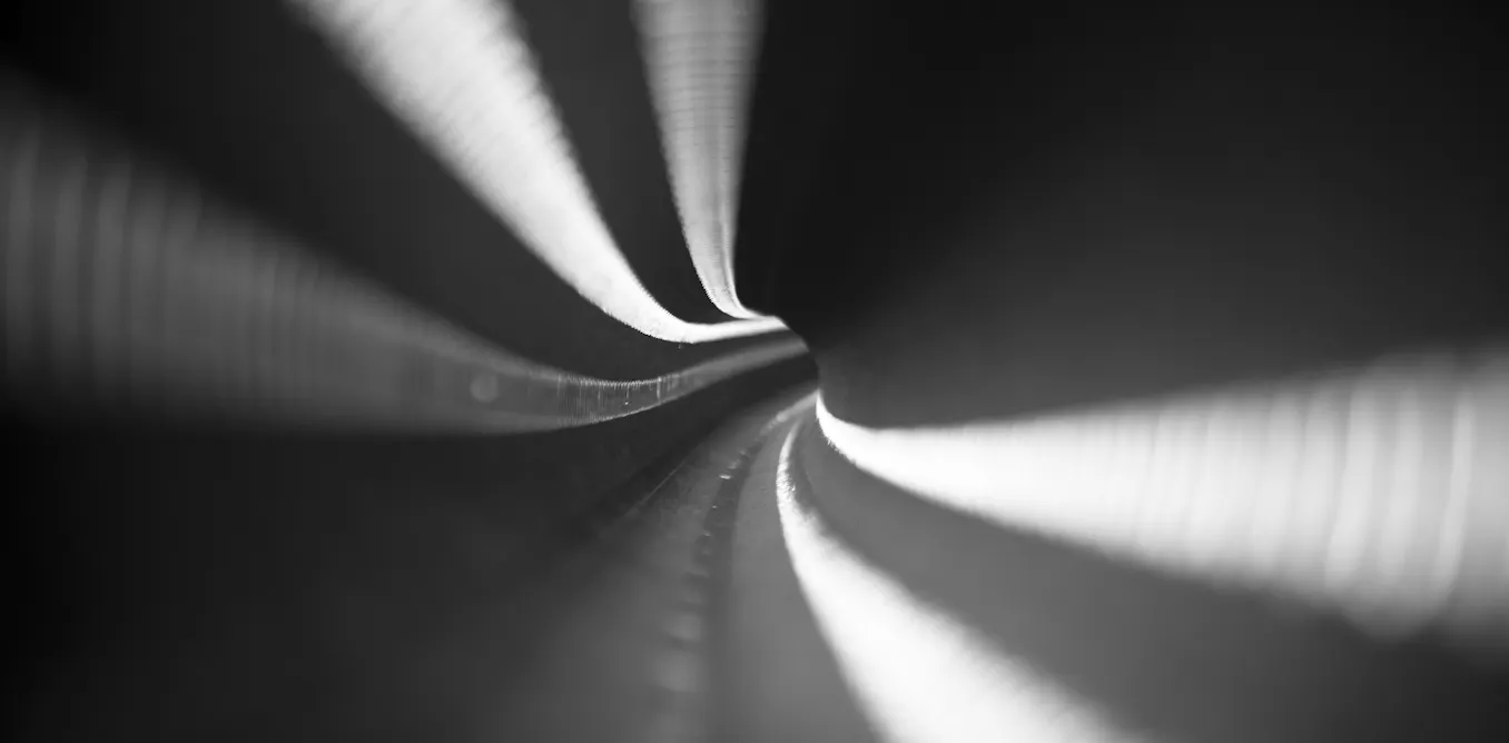 Worms Move More Quickly Through Narrow Paths Than Wider Ones – Insights for Robot Design Worms Move More Quickly Through Narrow Paths Than Wider Ones – Insights for Robot Design