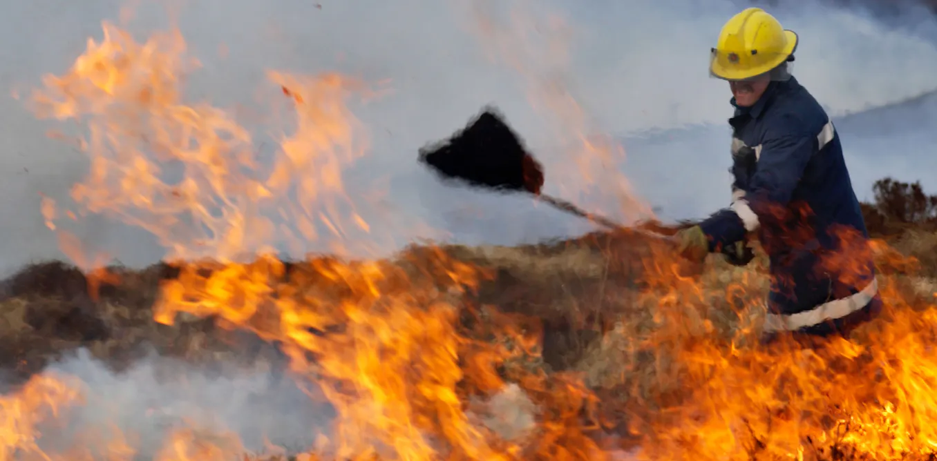 Over 75% of UK wetlands have been destroyed – restoring them would help prevent wildfires Over 75% of UK wetlands have been destroyed – restoring them would help prevent wildfires