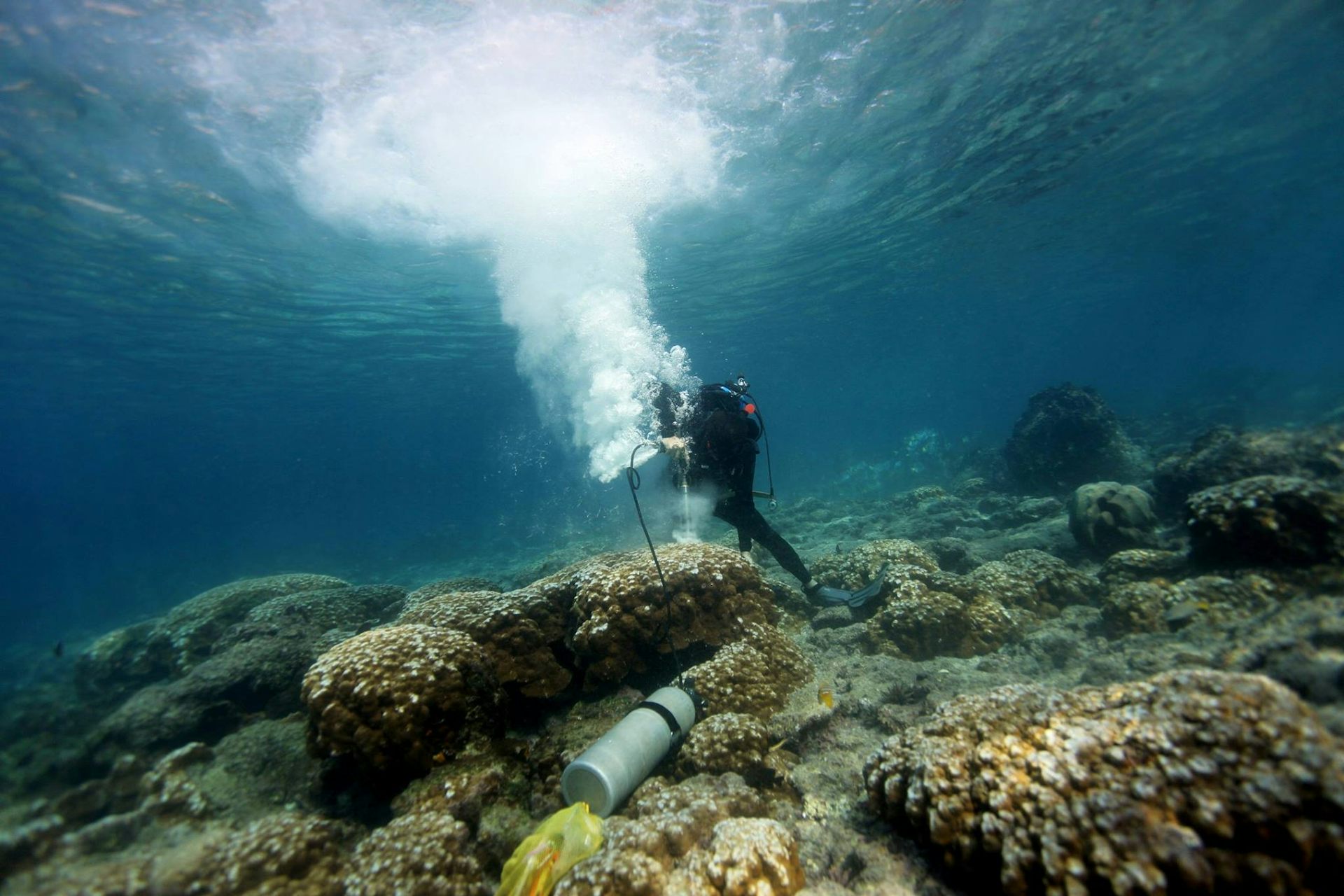 Galápagos coral records suggest El Niño events are intensifying with climate warming