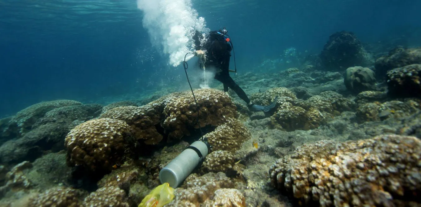 Galápagos corals show El Niño events are more extreme now than in past 1,000 years – here’s how my team made the discovery Galápagos corals show El Niño events are more extreme now than in past 1,000 years – here’s how my team made the discovery