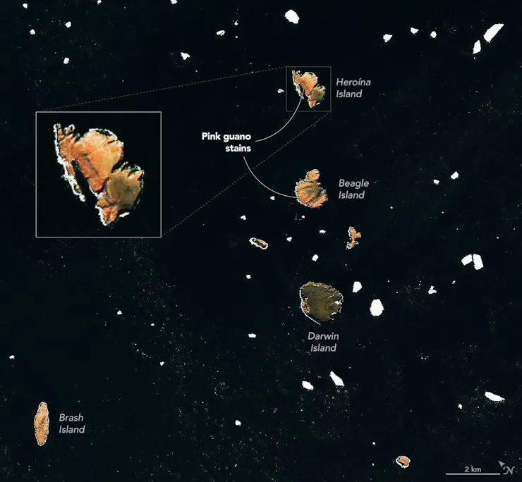 A satellite view of a group of small islands with ice floating in the water between them shows that some of the islands are pink, while others are not.