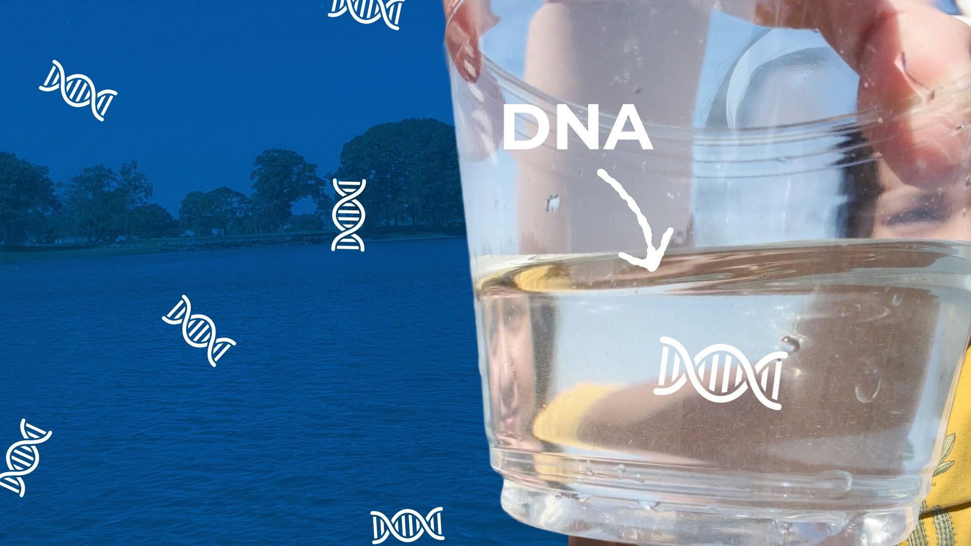 A clear plastic cup filled halfway with water is held up. A snippet of DNA is floating inside. The cup is surrounded by bits of DNA. 