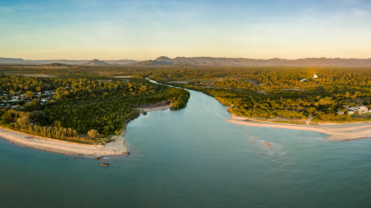 aerial view of river mouth surrounded by rainforest.