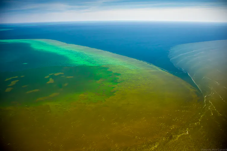 flood plume from a river spreading to coral reef, aerial view.