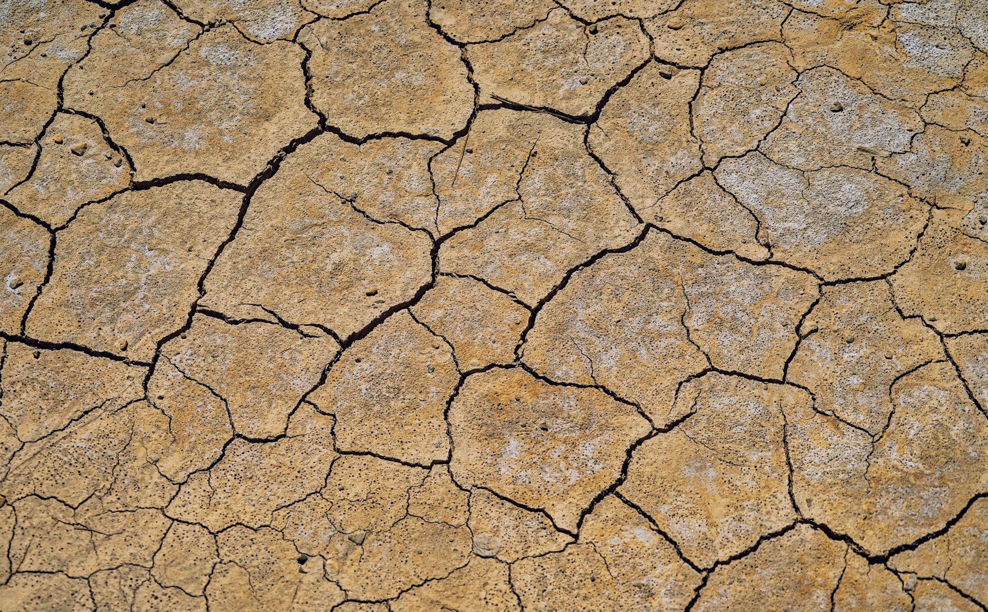kekeringan dan krisis air karhutla el nino 2026 
