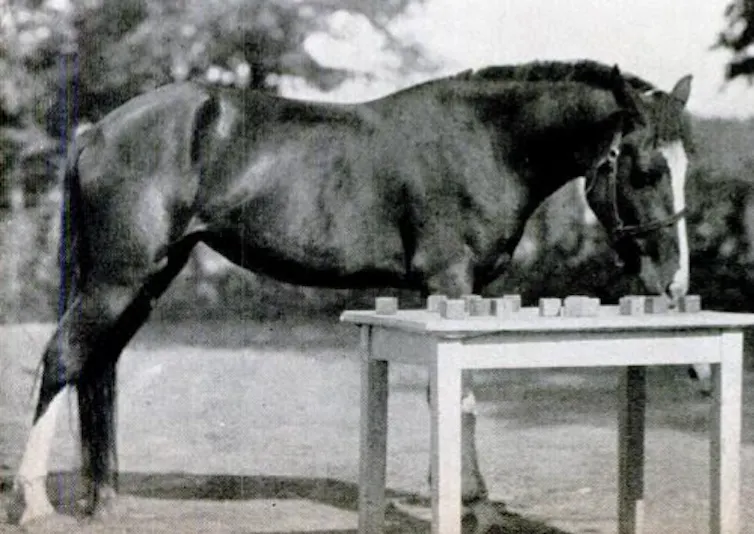 Horse stands next to table covered in blocks.