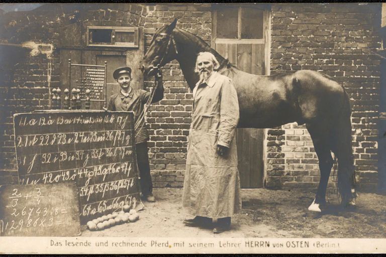 Horse standing with abacus, blackboard, man with beard and man wearing hat