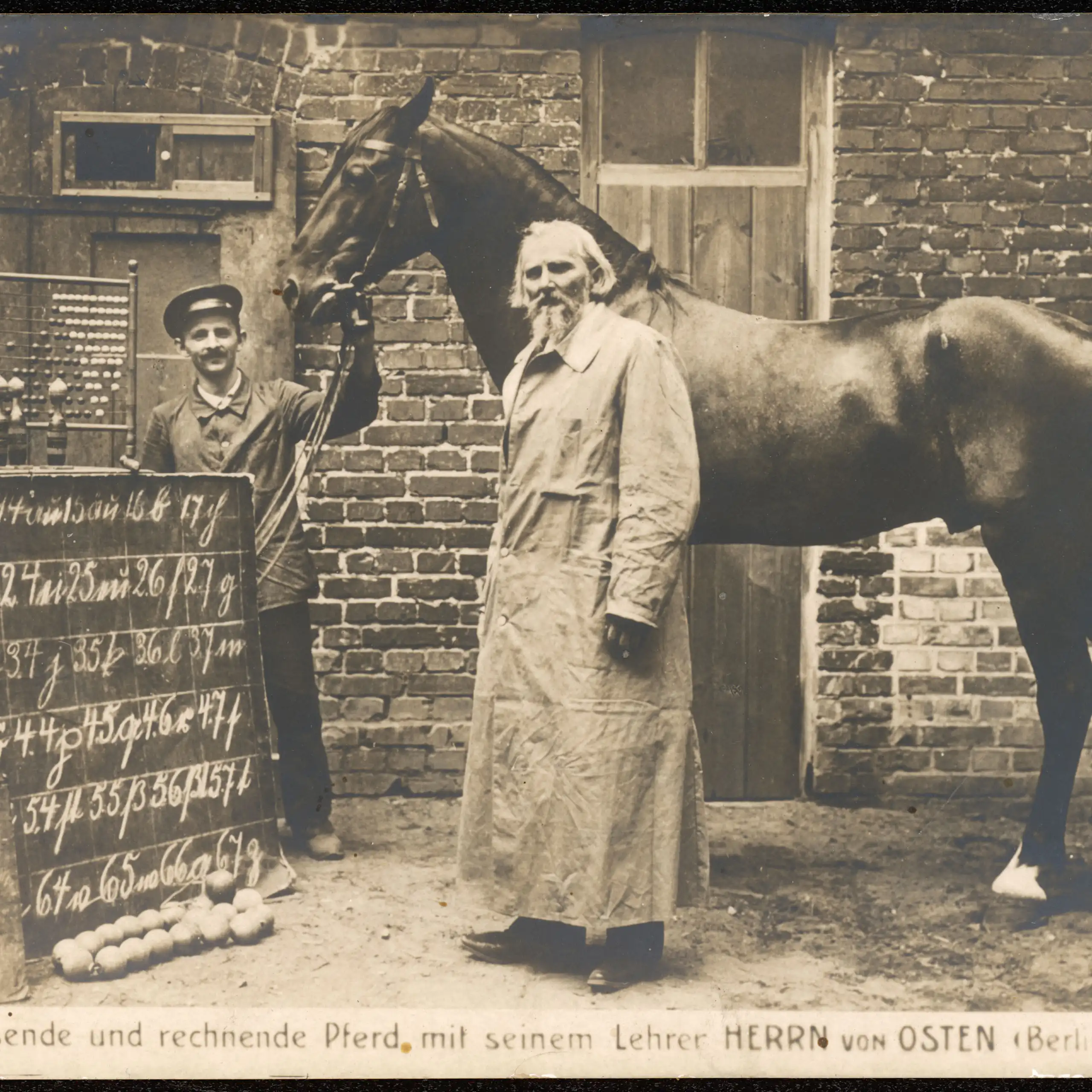 Horse standing with abacus, blackboard, man with beard and man wearing hat