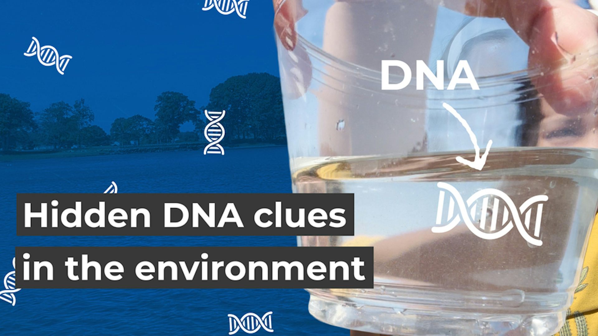 A clear plastic cup filled halfway with water is held up. A snippet of DNA is floating inside. The cup is surrounded by bits of DNA.