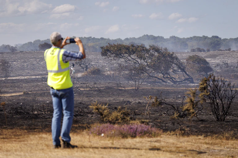 A man looks at wildfire aftermath