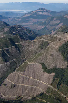 a mountain landscape with large areas cleared of trees