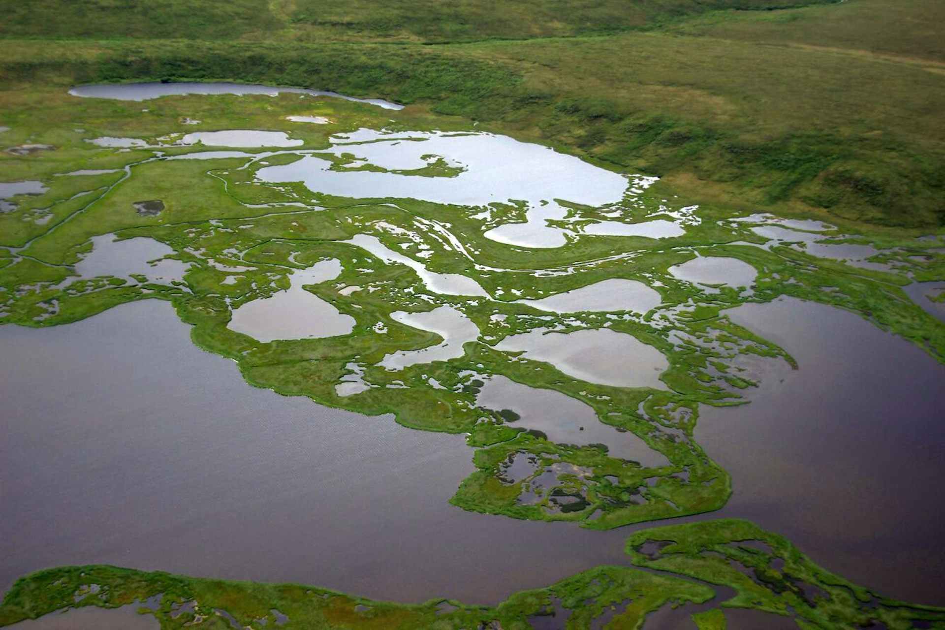 A landscape of ponds rimmed with vegetation.