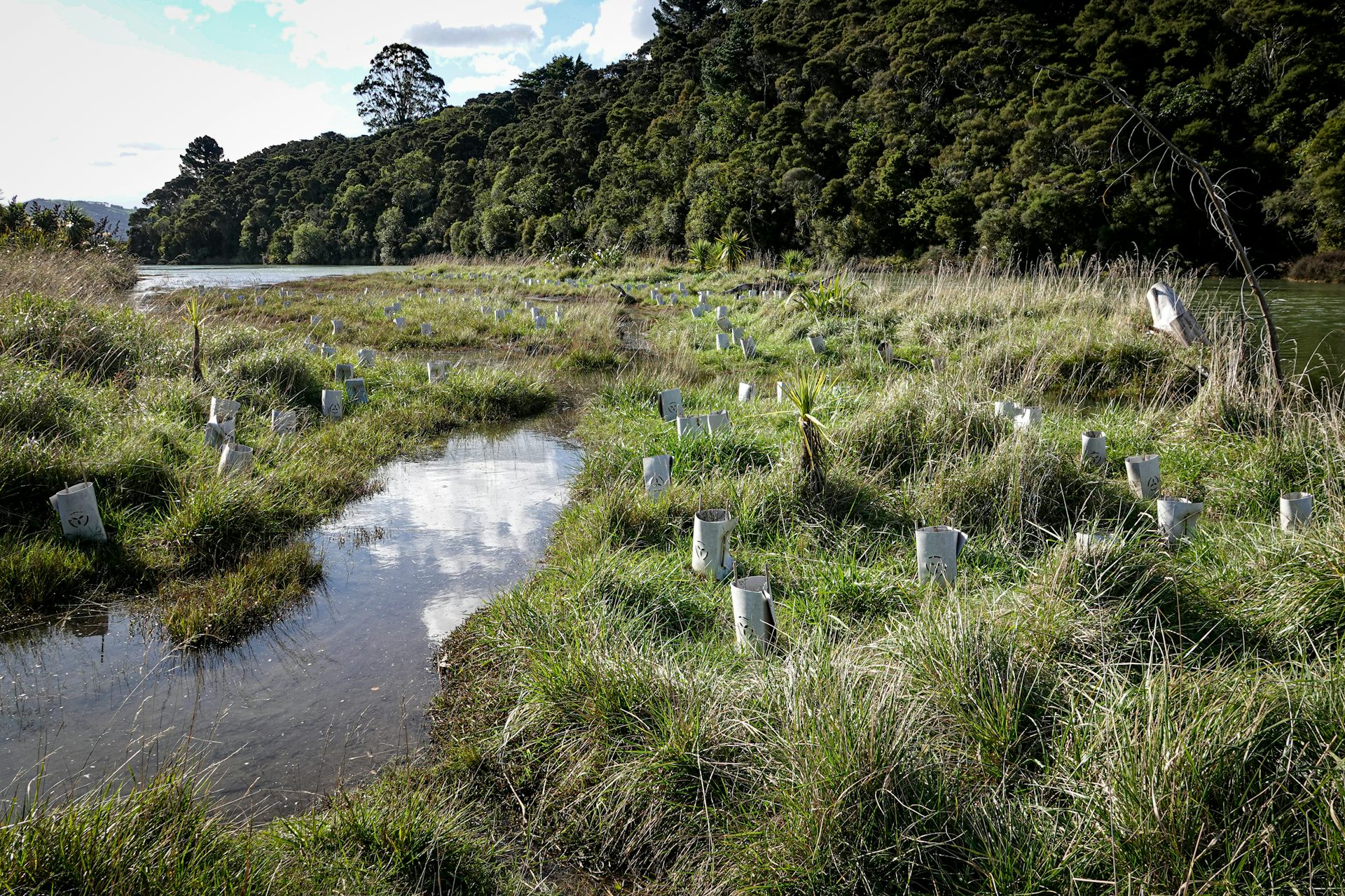Working with nature can help NZ adapt to climate change. Where is the plan to do it?