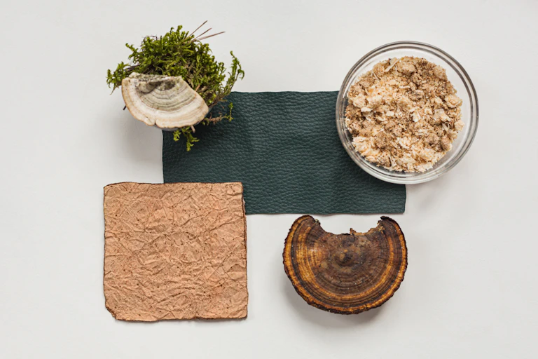 mushroom leather ingredients, flatlay