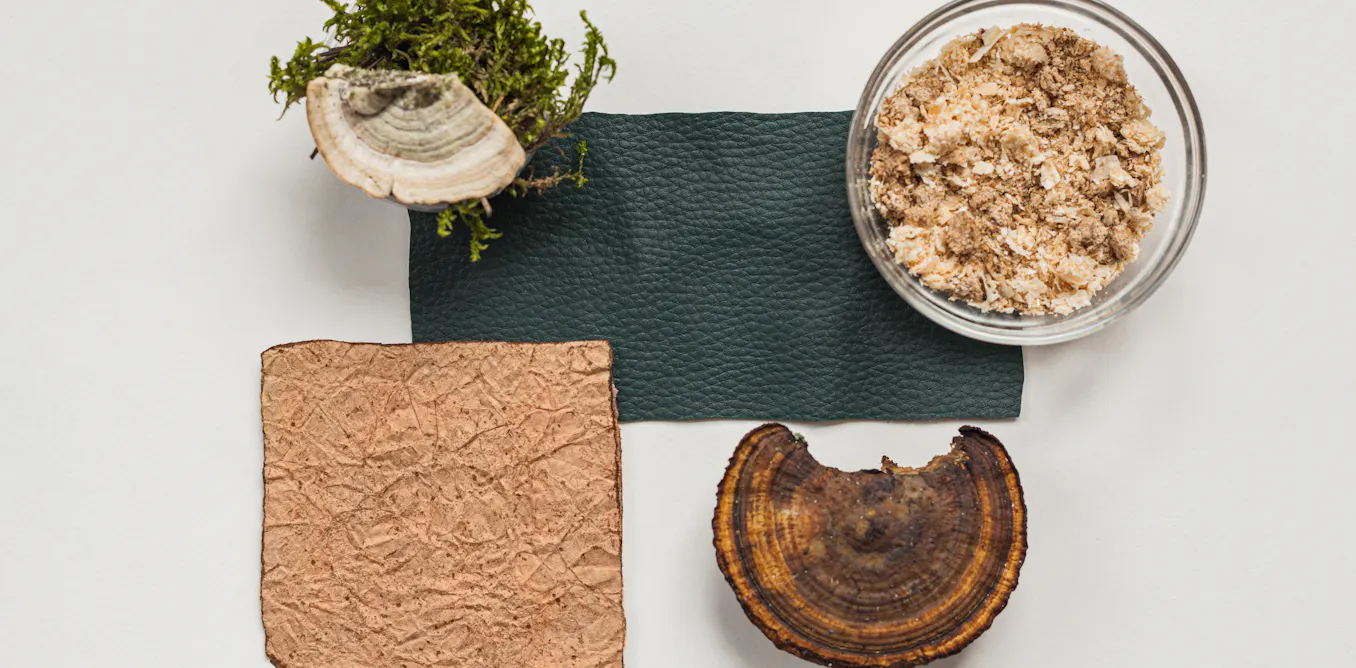 EduWireDaily — Why innovative ‘bio-materials’ are still more sci-fi than fashion revolution