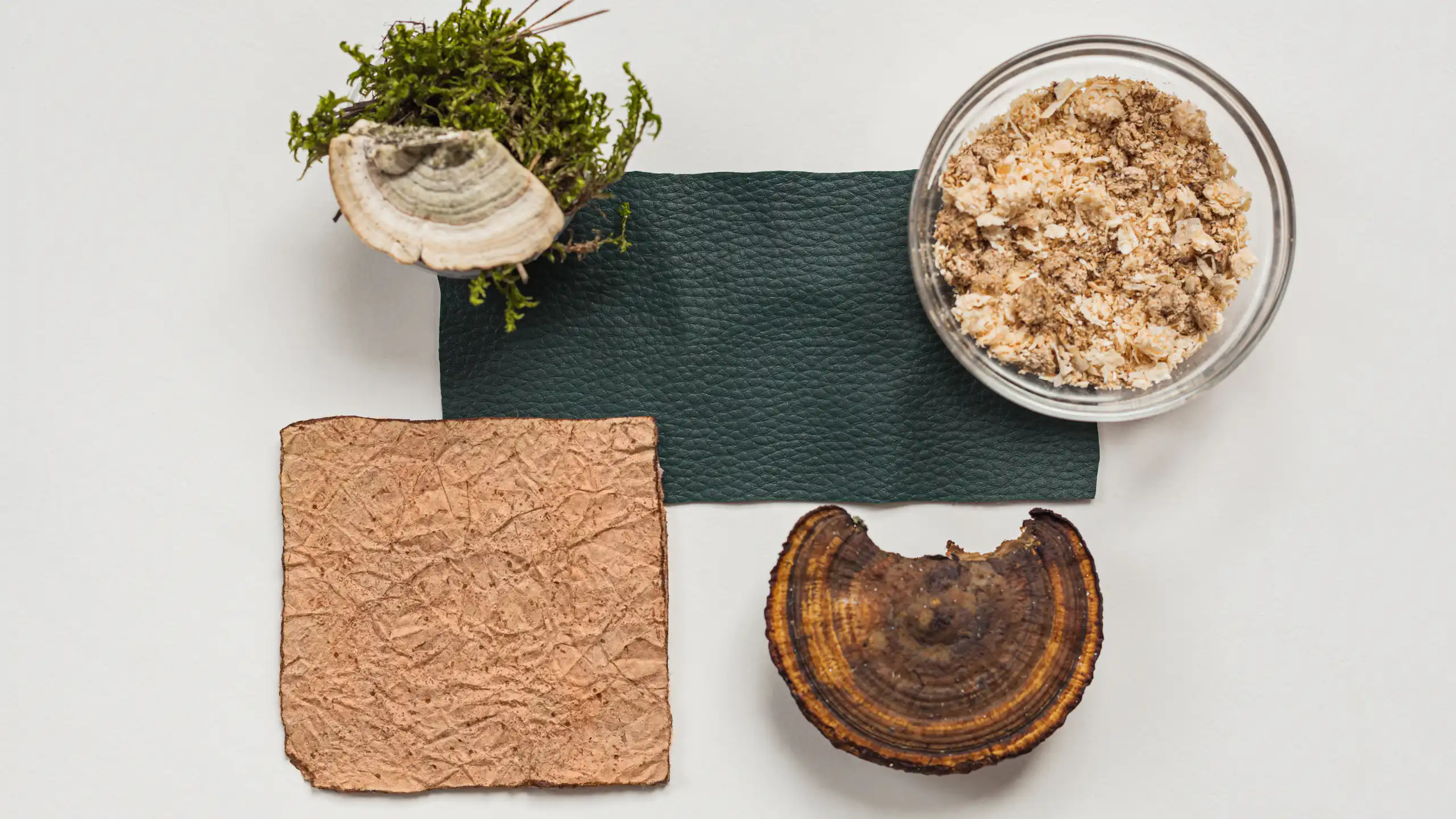 mushroom leather ingredients, flatlay