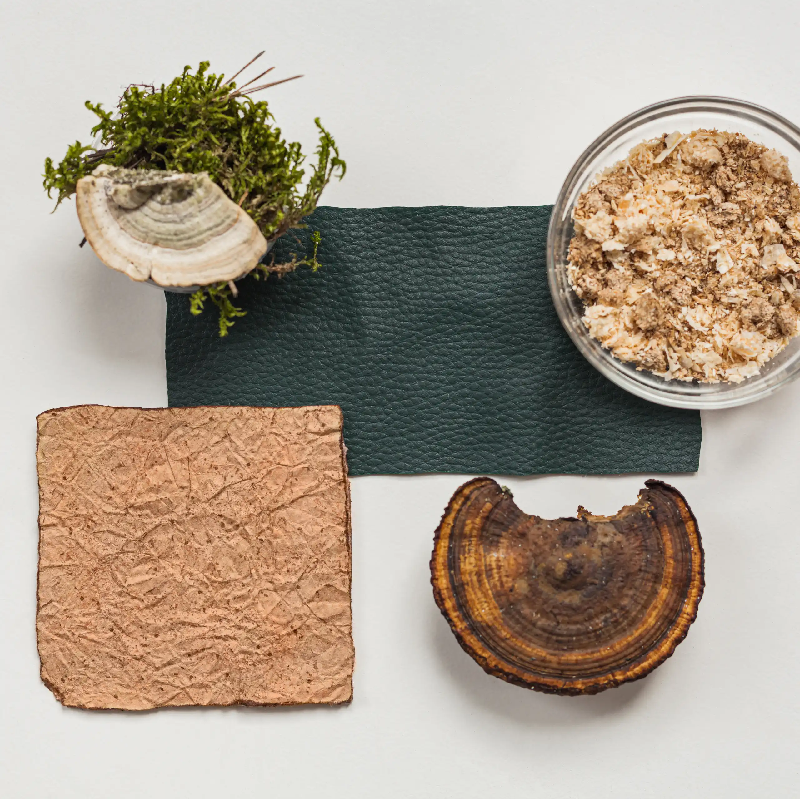 mushroom leather ingredients, flatlay