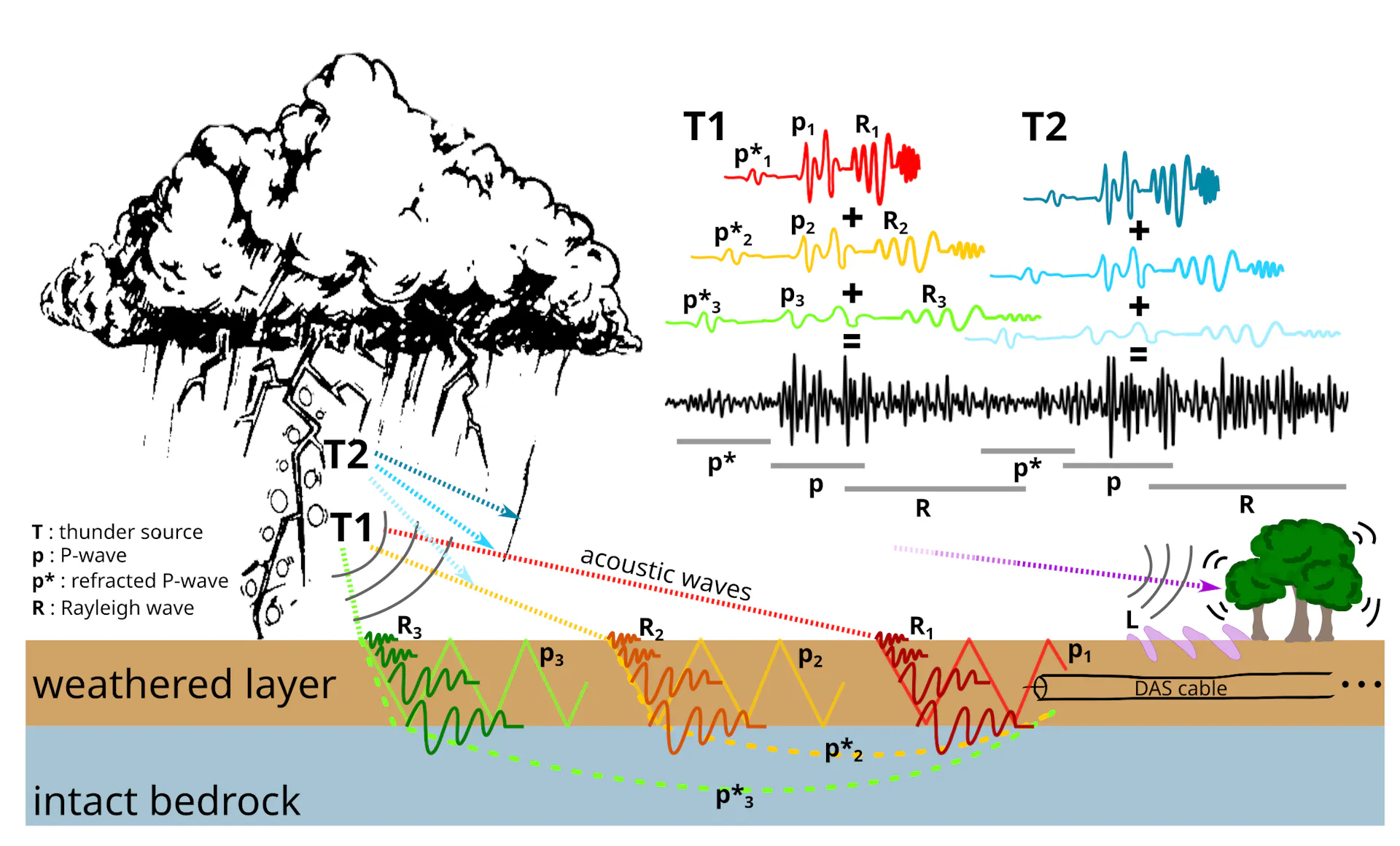 An illustration of a thunderstorms and different types of seismic waves.