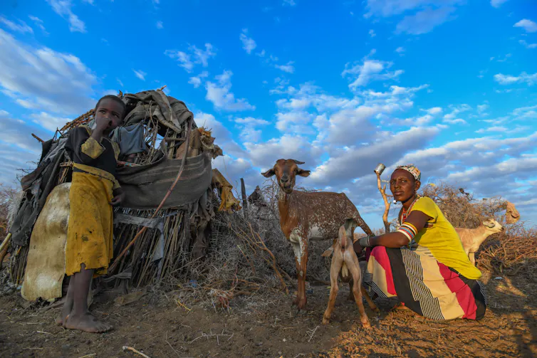 A herder and a young boy sit next to a shelter and goats.