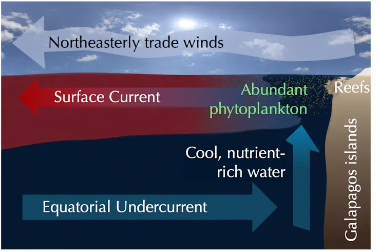 Illustration shows upwelling
