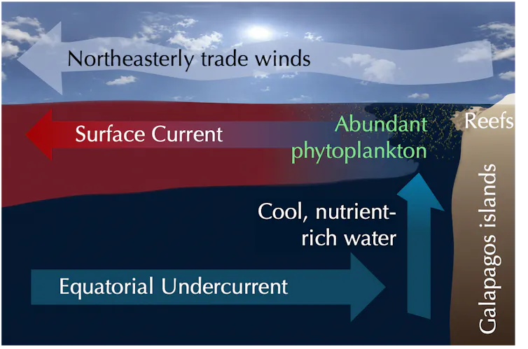 Illustration shows upwelling