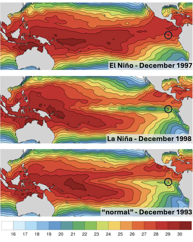 Three maps showing temperature differences in the difference phases: neutral, El Niño and La Niña