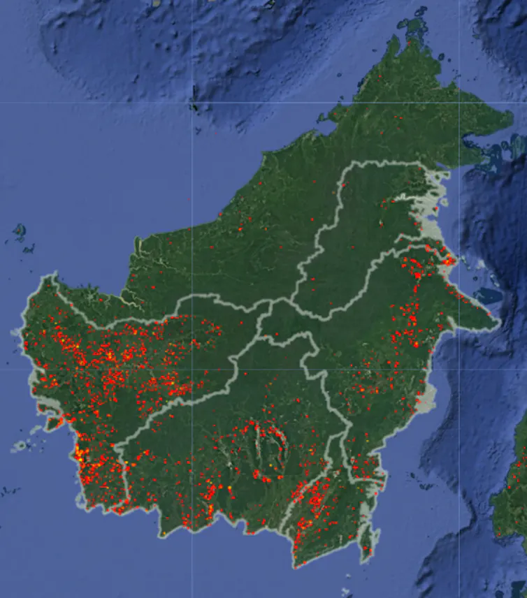 sebaran karhutla indonesia di kalimantan