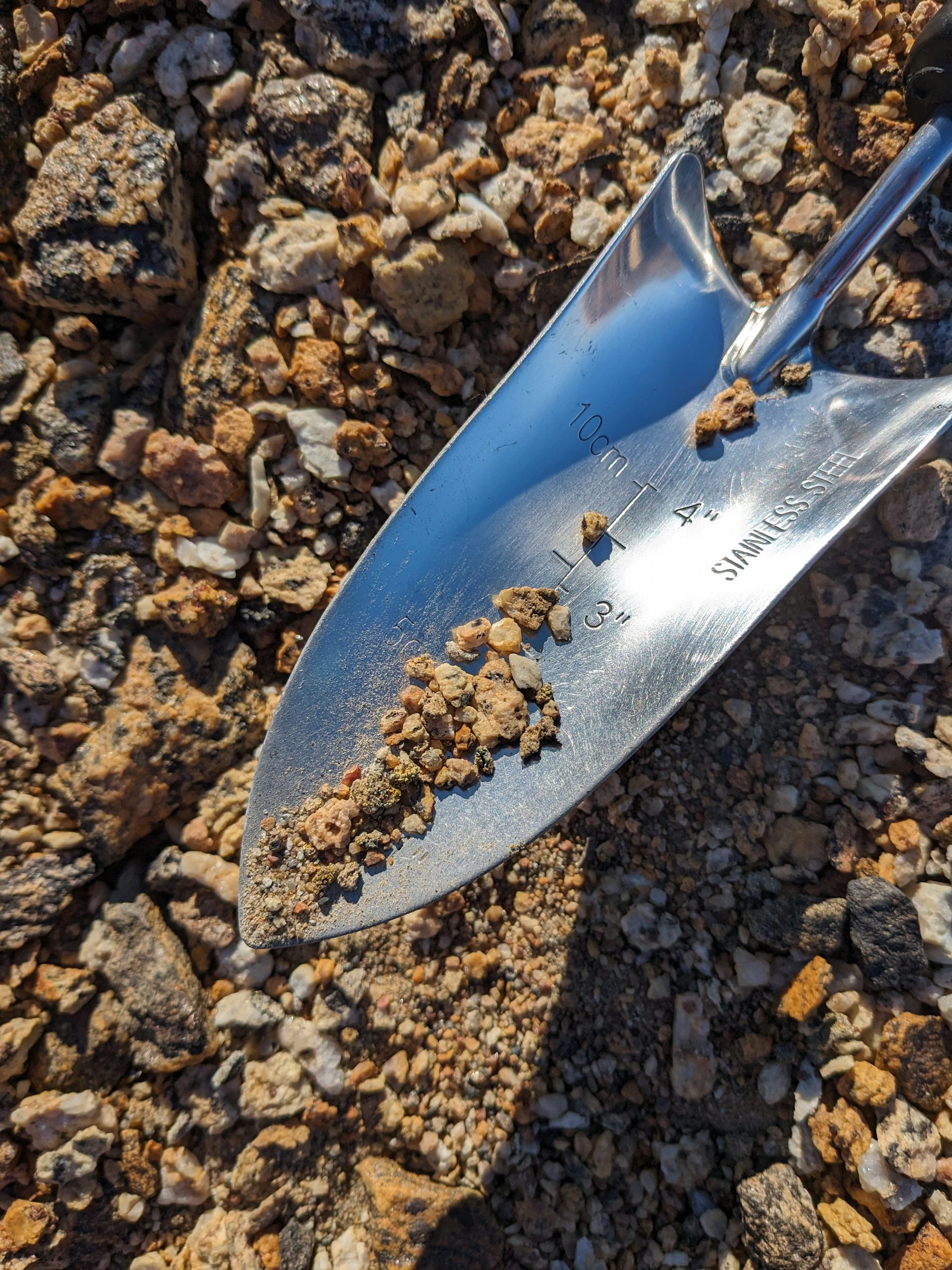 Antarctic bacteria share ‘life-support’ genes to survive extreme conditions