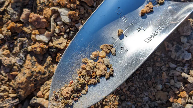 A trowel containing some soil