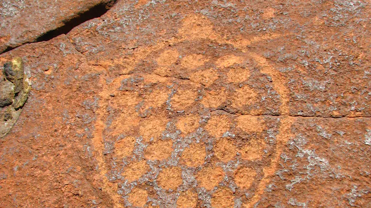 A rock art depiction of a turtles at Murujuga