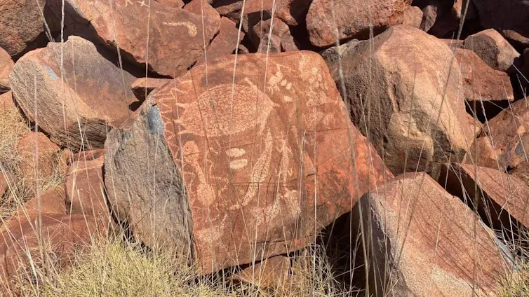 A complex panel of animals at Murujuga.