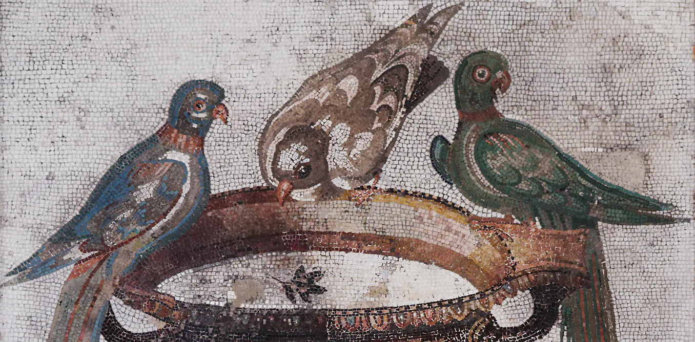 ‘Frequently fumigate the hen-houses’: how ancient Greeks and Romans tried to treat sick birds ‘Frequently fumigate the hen-houses’: how ancient Greeks and Romans tried to treat sick birds