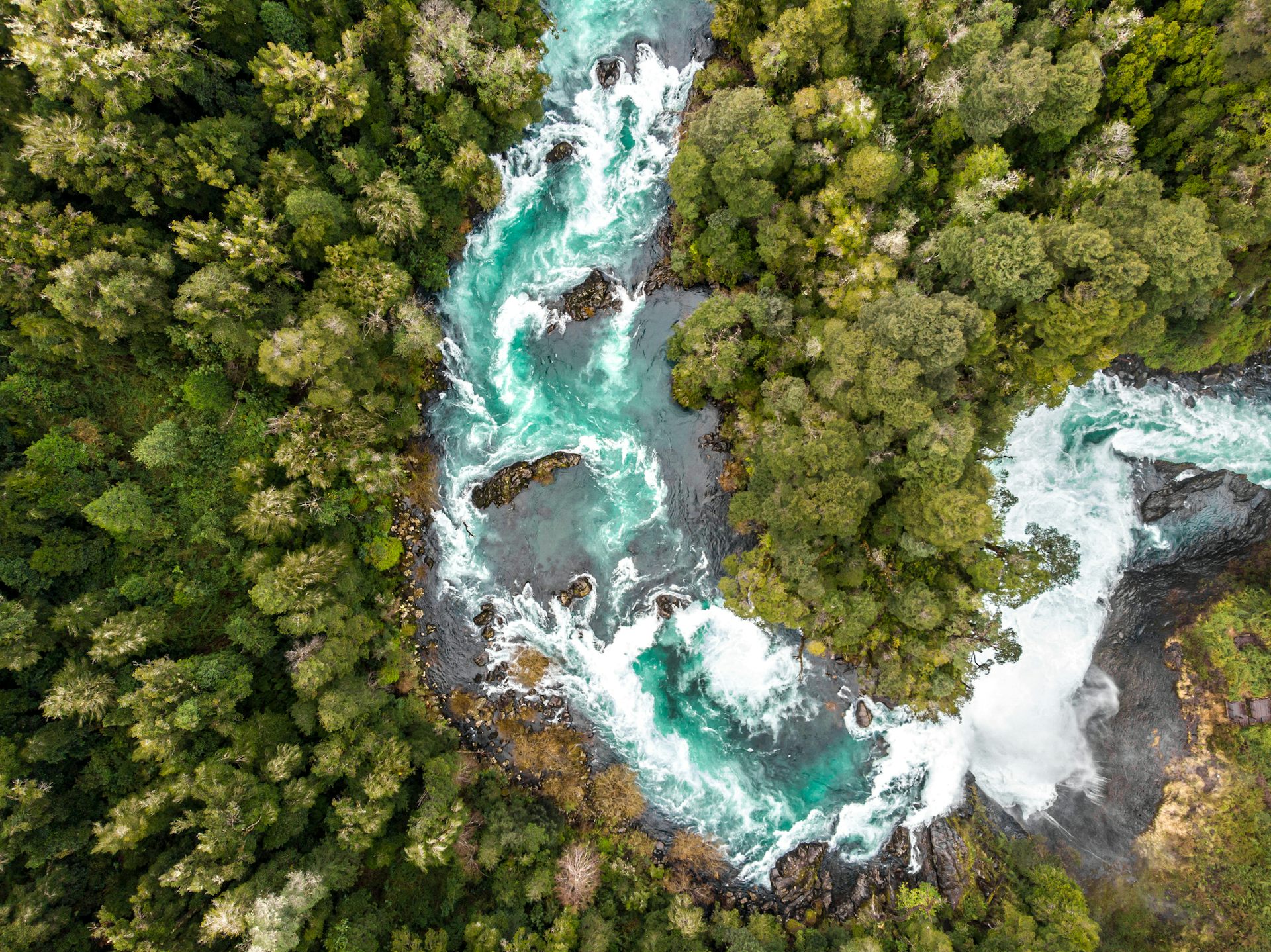 An aerial view of a fast-flowing river, surrounded by lush forest.